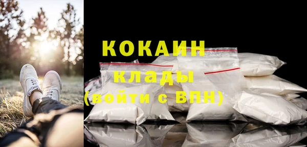 крисы Баксан
