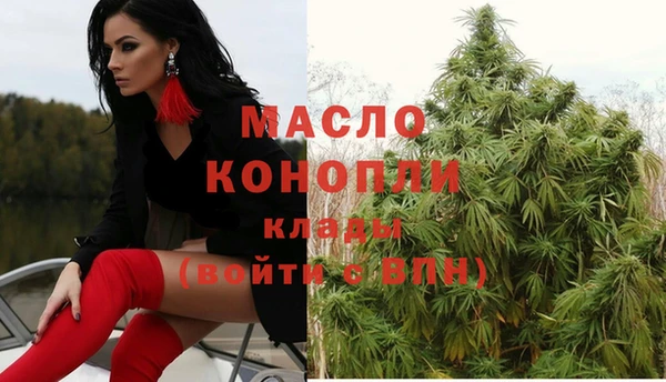 крисы Баксан