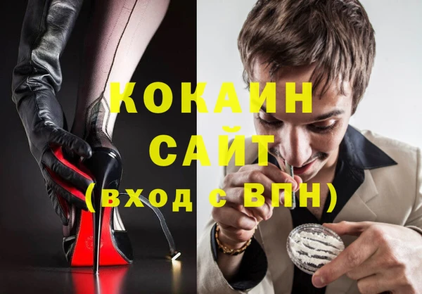крисы Баксан