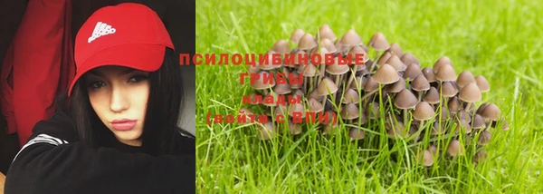 крисы Баксан