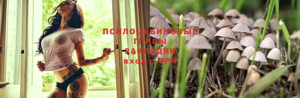 крисы Баксан